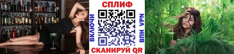 Шишки марихуана планчик Ангарск